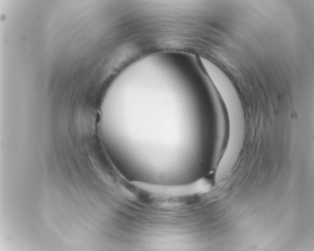 X0000088640168200706151951