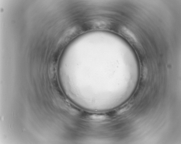 X0000088640169200706151951