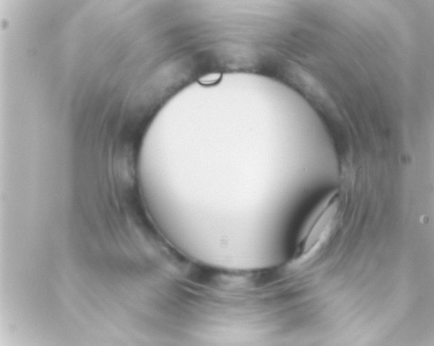 X0000088640170200706151951