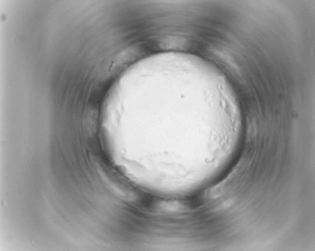 X0000088640171200706151951