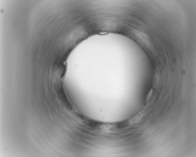 X0000088640172200706151951