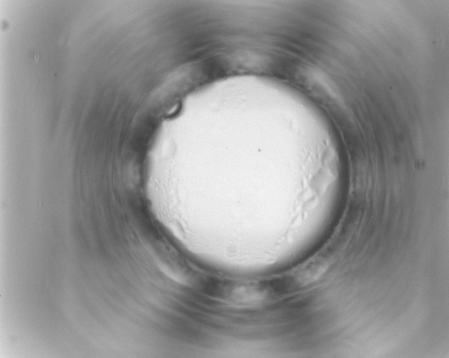 X0000088640173200706151951