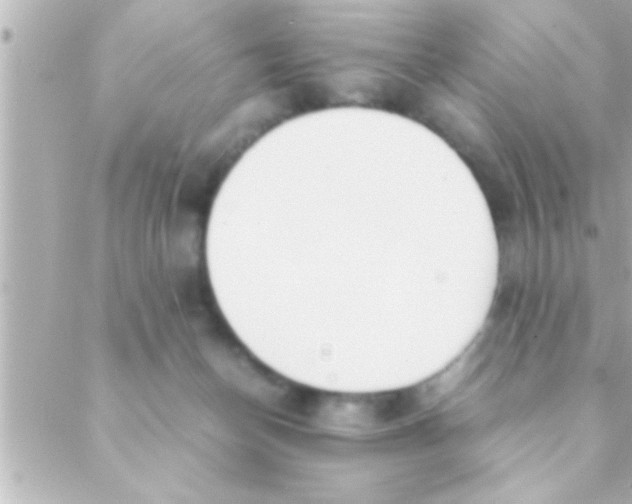 X0000088640174200706151951