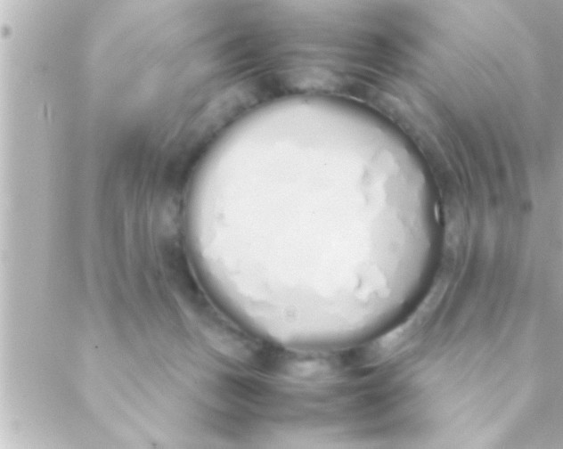 X0000088640175200706151951