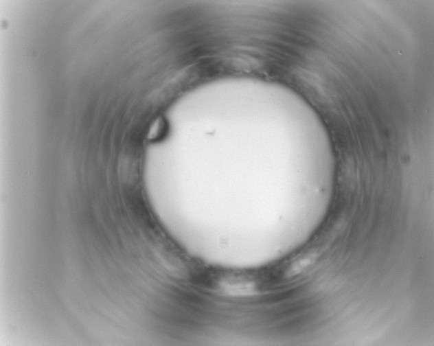 X0000088640177200706151951