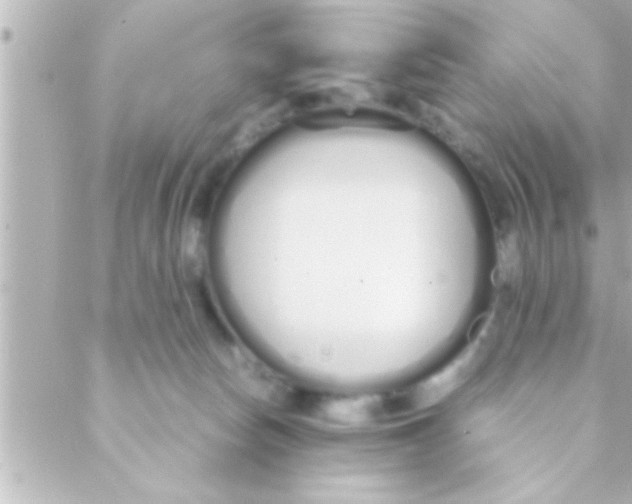 X0000088640178200706151951