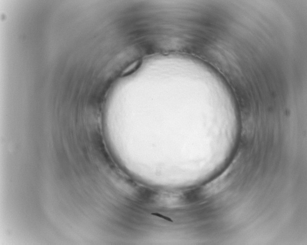 X0000088640179200706151951