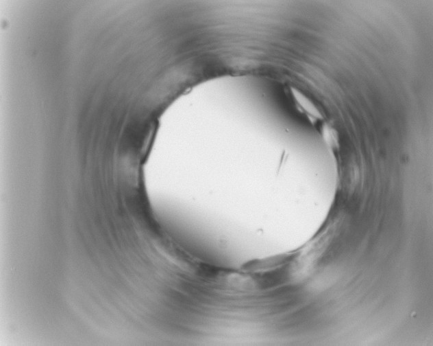 X0000088640180200706151951