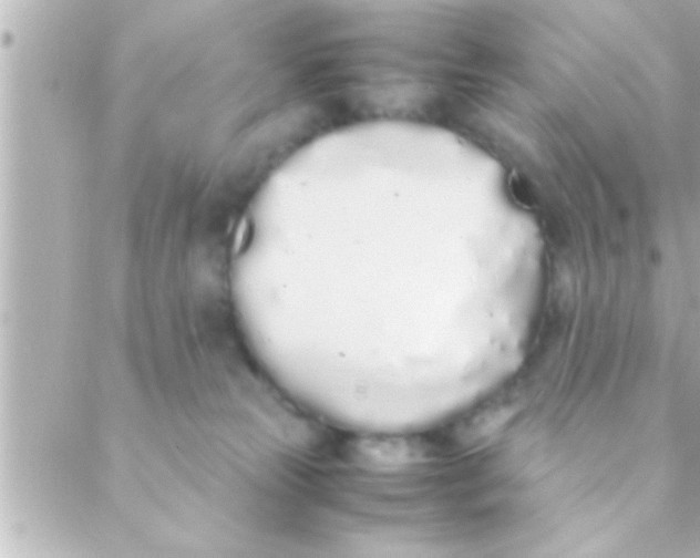 X0000088640181200706151951