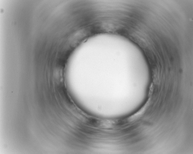 X0000088640182200706151951