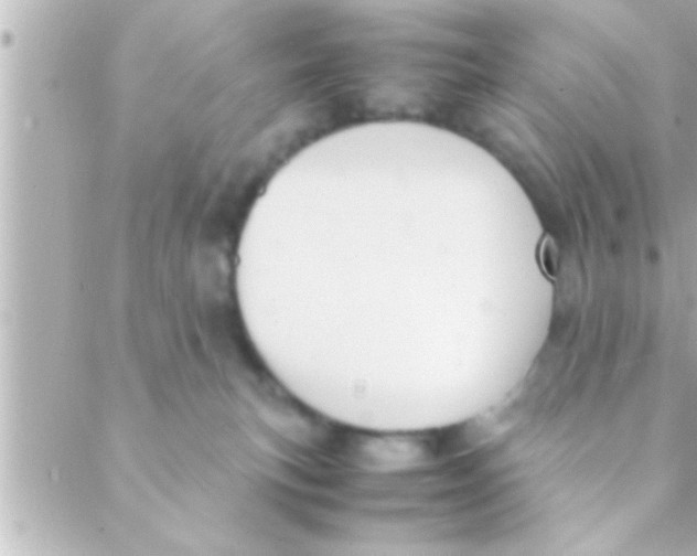 X0000088640183200706151951