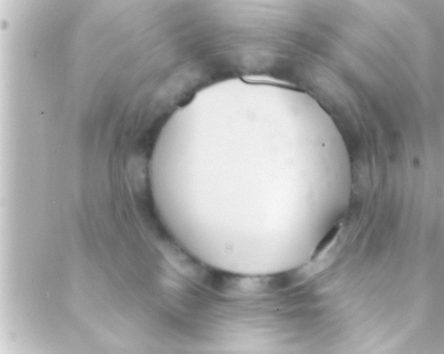 X0000088640184200706151951