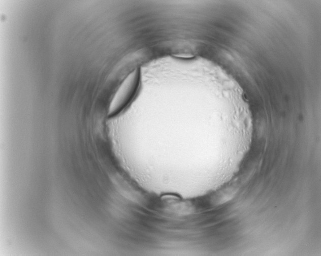 X0000088640185200706151951