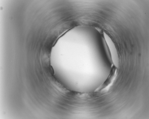 X0000088640186200706151951