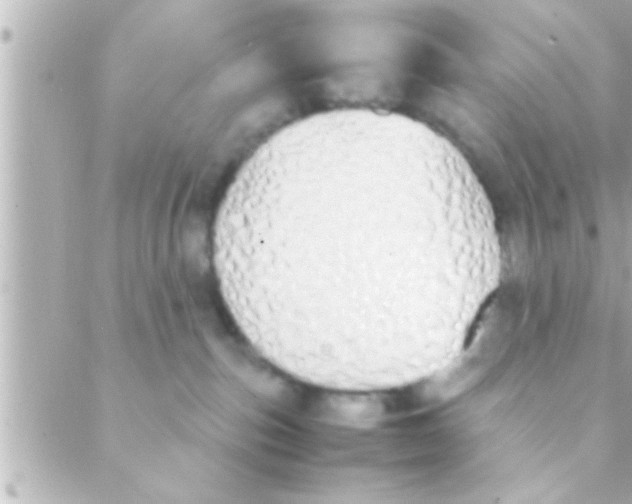 X0000088640187200706151951