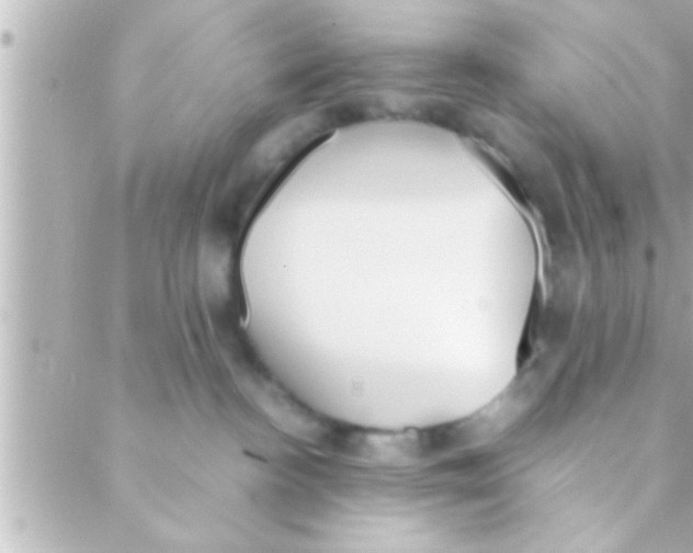 X0000088640188200706151952