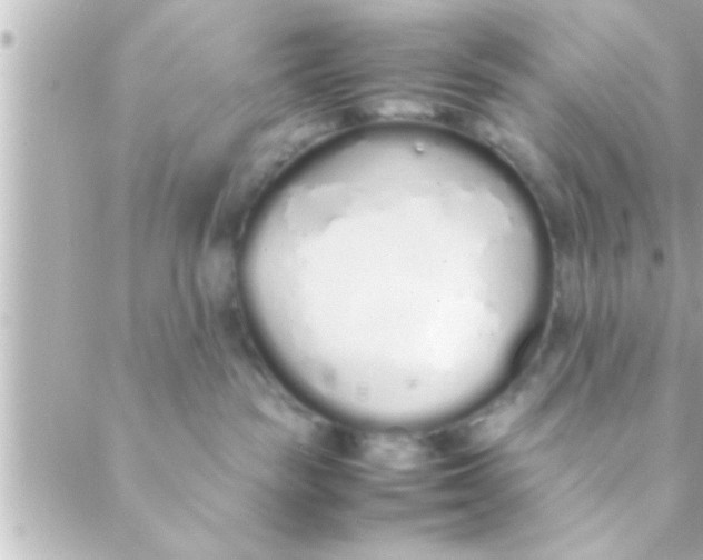 X0000088640189200706151952