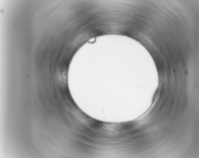 X0000088640190200706151952