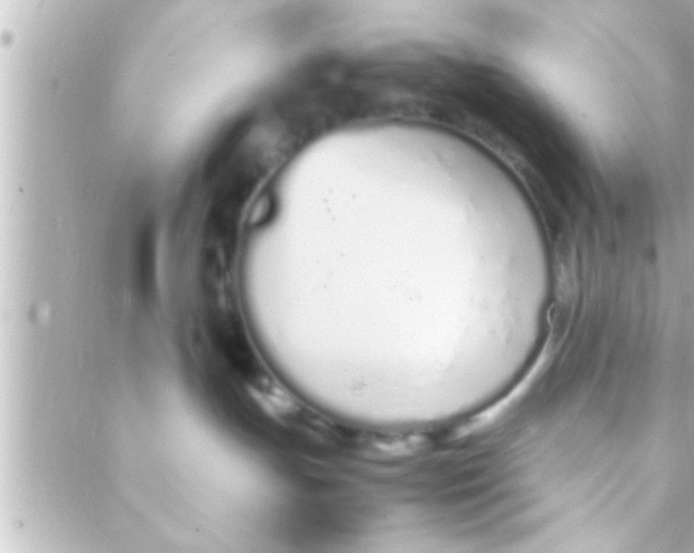 X0000088640191200706151952