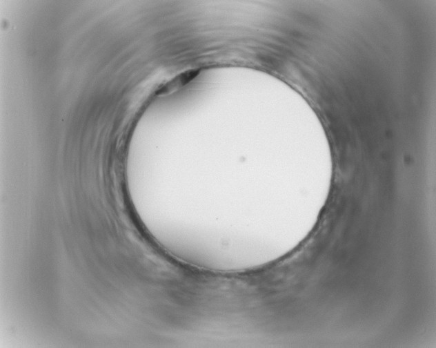 X0000088640193200706151951