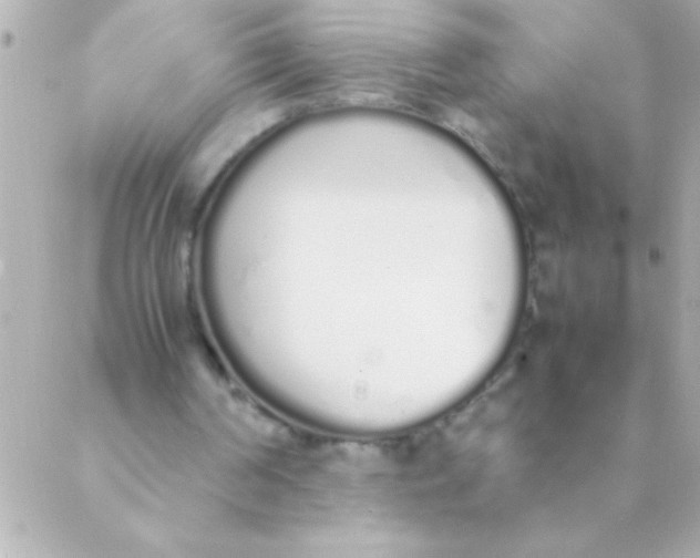 X0000088640194200706151951