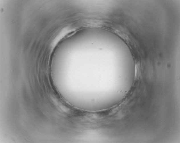 X0000088640195200706151951