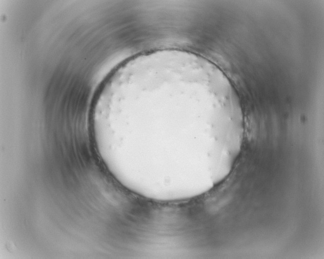 X0000088640196200706151951