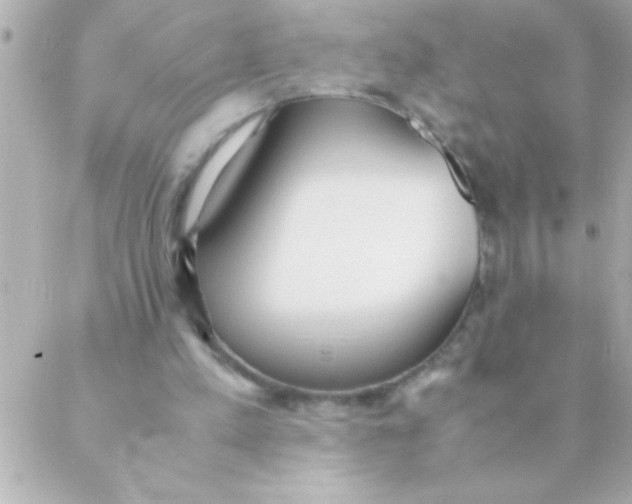 X0000088640197200706151951