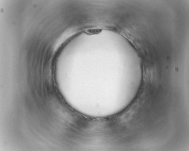 X0000088640198200706151951