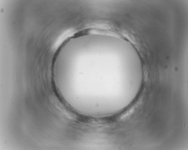 X0000088640199200706151951