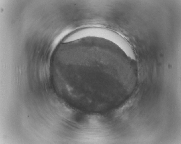 X0000088640200200706151951