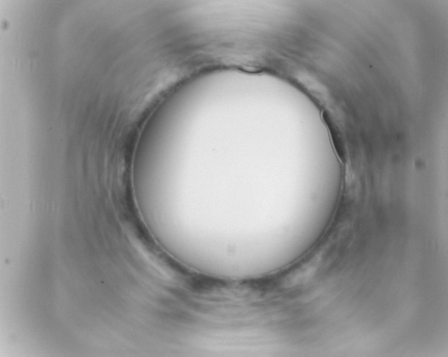 X0000088640201200706151951