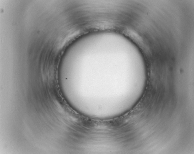 X0000088640202200706151951