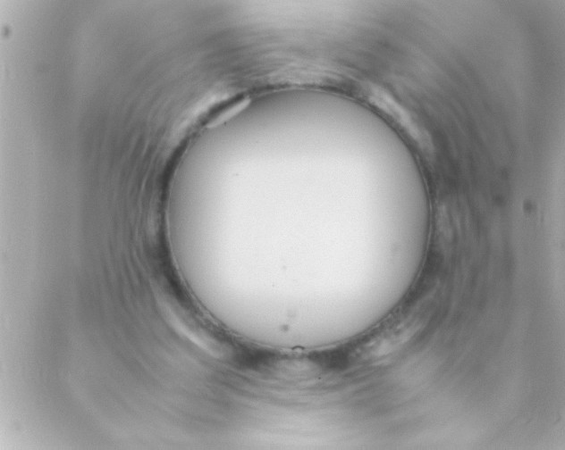 X0000088640203200706151951