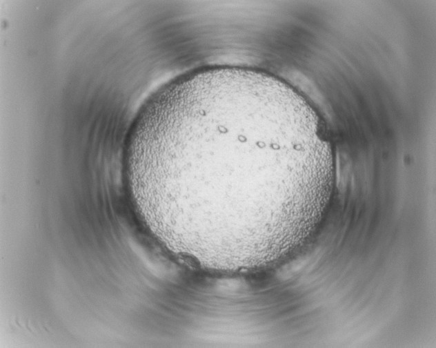 X0000088640204200706151951