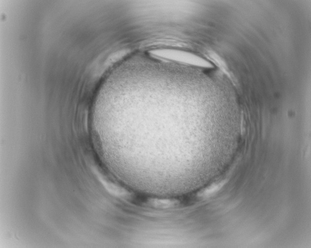 X0000088640205200706151951