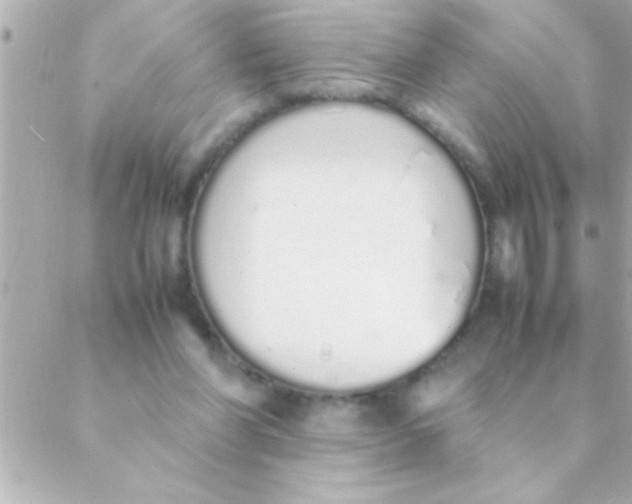 X0000088640206200706151951