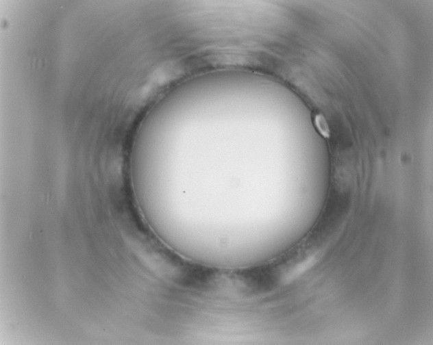 X0000088640207200706151951