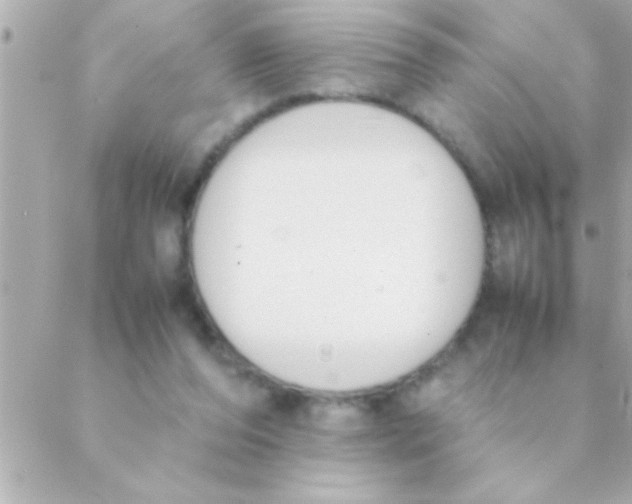 X0000088640208200706151951