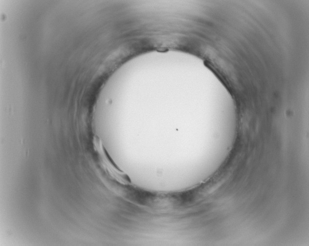 X0000088640209200706151951