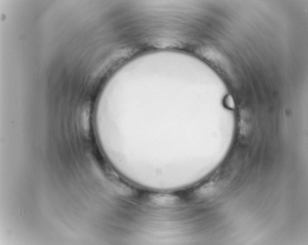 X0000088640210200706151951