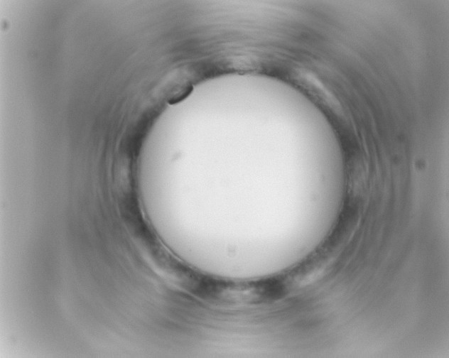 X0000088640213200706151950