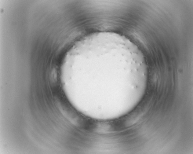 X0000088640214200706151950