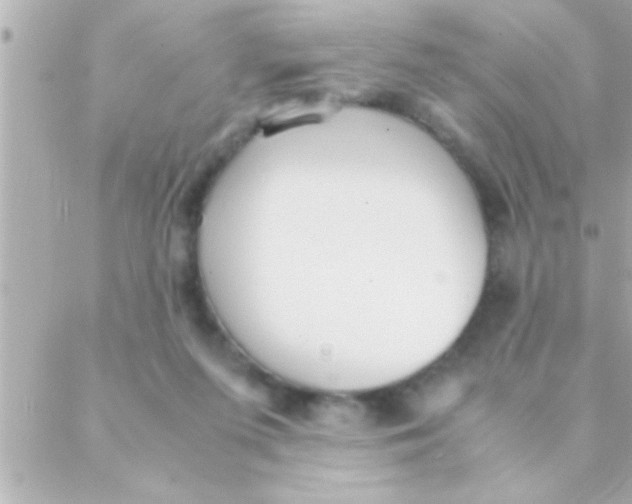 X0000088640215200706151950