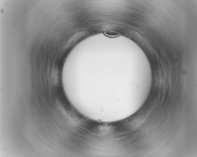 X0000088640216200706151950