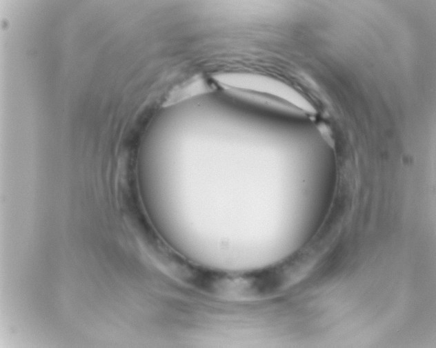 X0000088640217200706151950