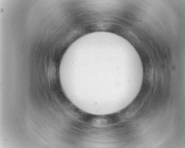 X0000088640220200706151950