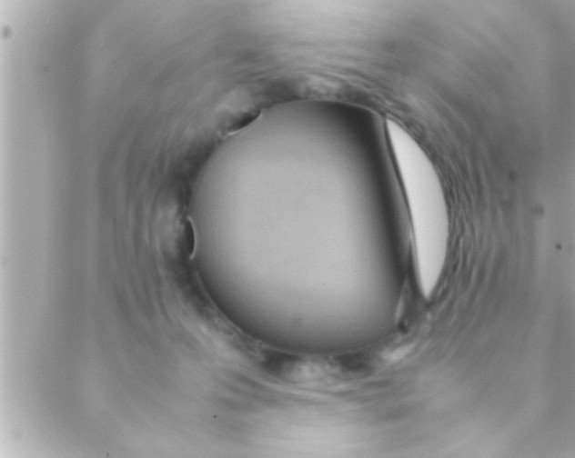 X0000088640223200706151950