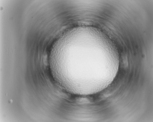 X0000088640224200706151950