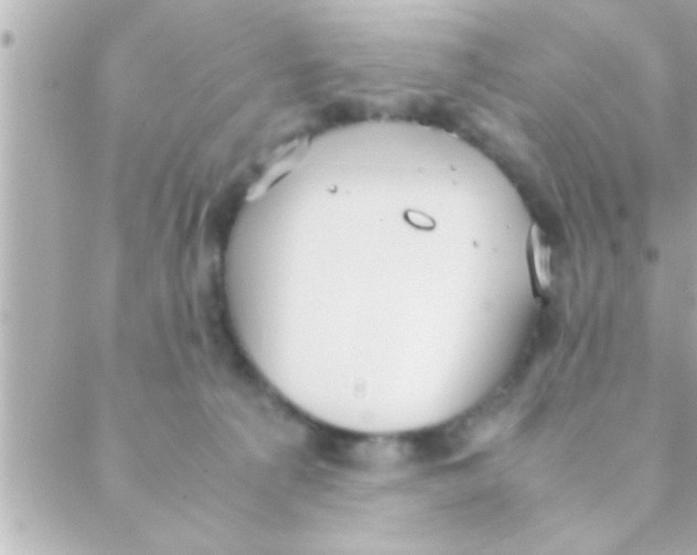 X0000088640225200706151950